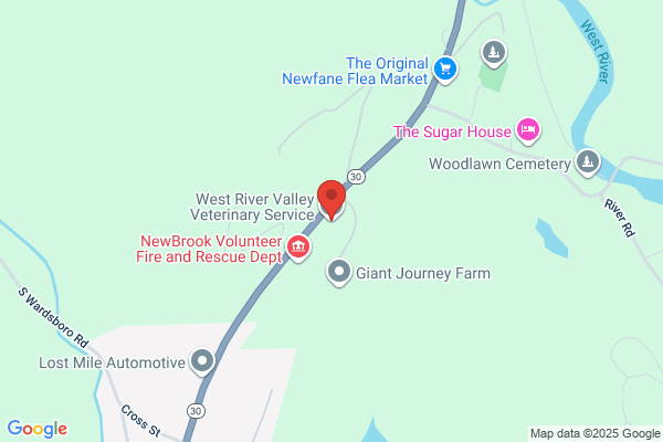 West River Valley Veterinary Service