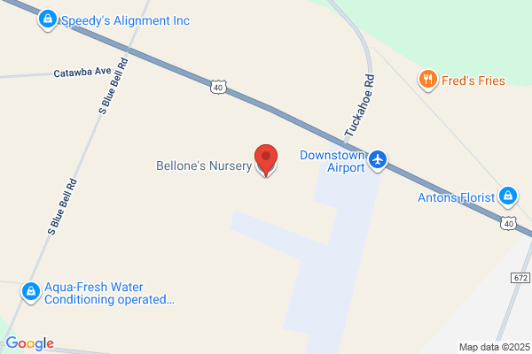 Bellone's Nursery