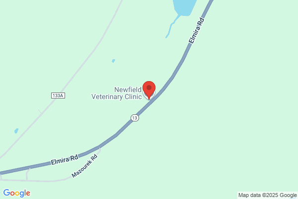 Newfield Veterinary Clinic