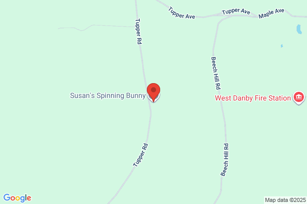 Susan's Spinning Bunny