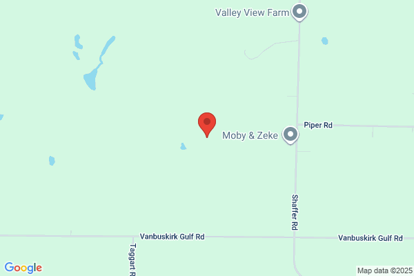 Toad Hill Farm