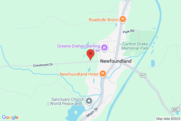 Ambulance, Newfoundland