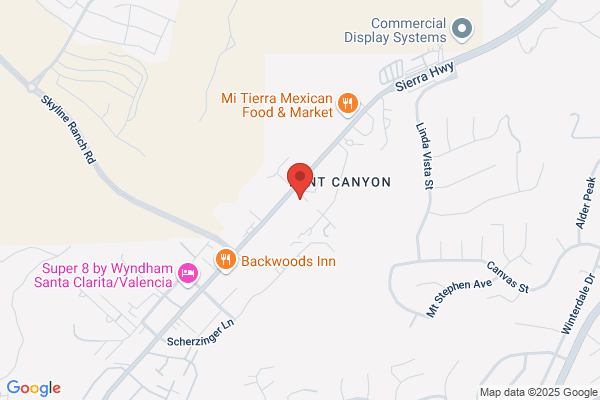 Santa Clarita Medical & Mental Health Services