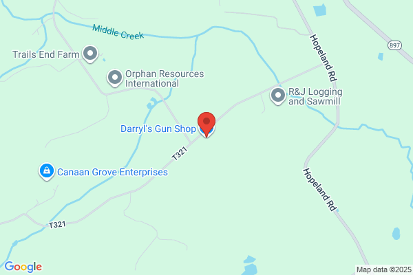 Darryl's Gun Shop