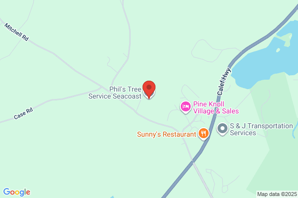 Phil's Tree Service Seacoast