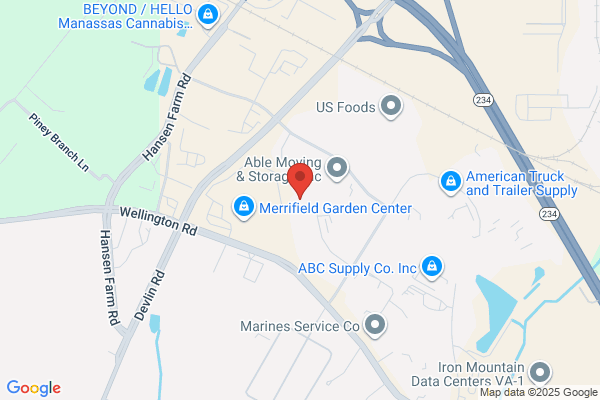 Guardian Security Systems Inc