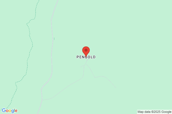 Pengold