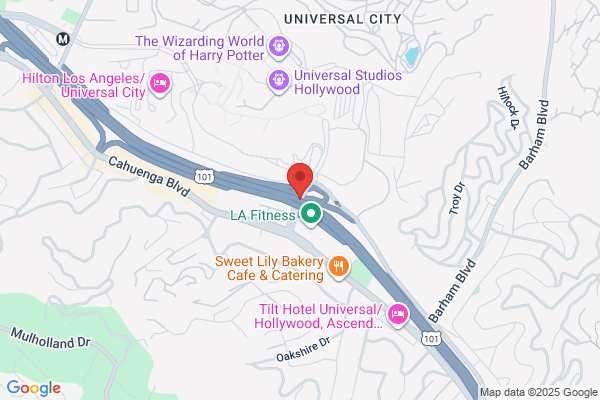 Universal Bridges