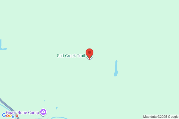 Brown Co SE