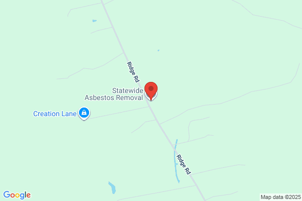 Statewide Asbestos Removal