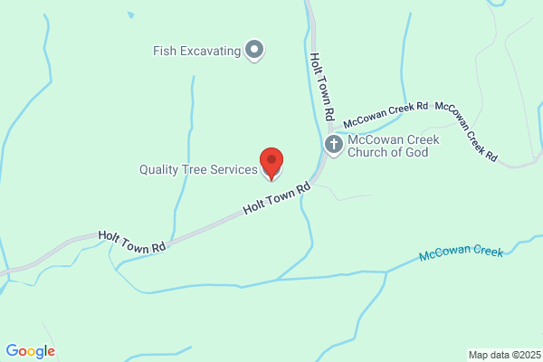 Quality Tree Care & Stump Grinding