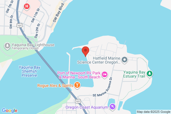 Newport Belle Bed & Breakfast