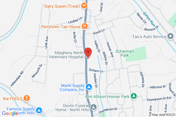 Allegheny Veterinary Hospital