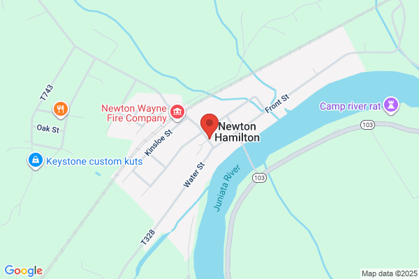 United States Government, Postal Service, Newton Hamilton