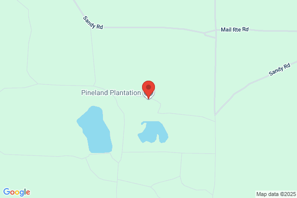Plantation Restorations
