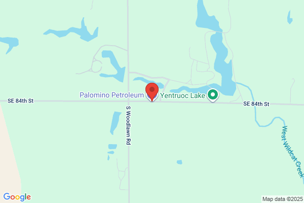 Palomino Petroleum Inc