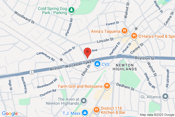 Newton Highlands Pet & Grooming