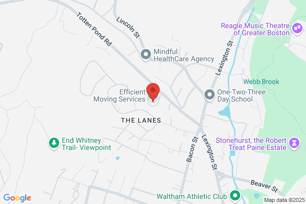 Efficient Moving Services