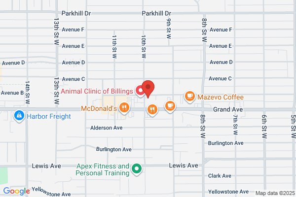 Billings Billing Service