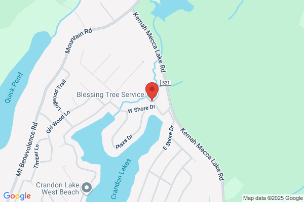 Blessing Tree Service NJ