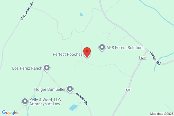 Perfect Pooches LLC