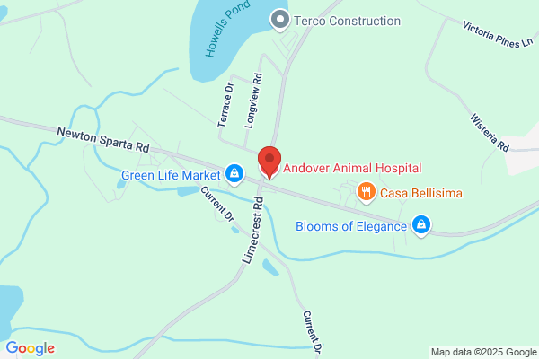Andover Animal Hospital