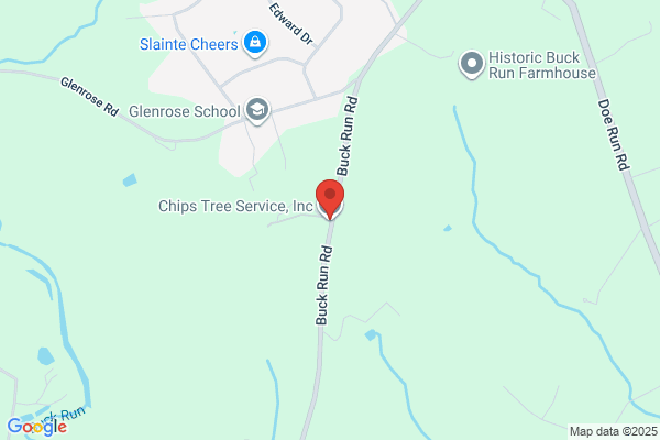 Chips Tree Service
