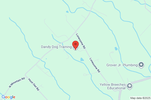 Dandy Dog Training