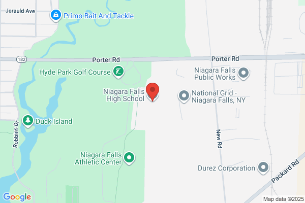 Niagara Falls City School District, Secondary Schools, Niagara Falls High School