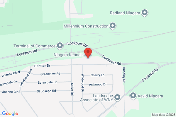 Niagara Kennels