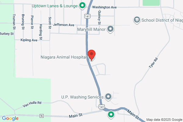Hometown Animal Hospital