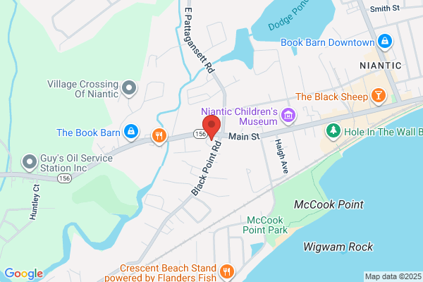 Connecticut Plantsman the Llc