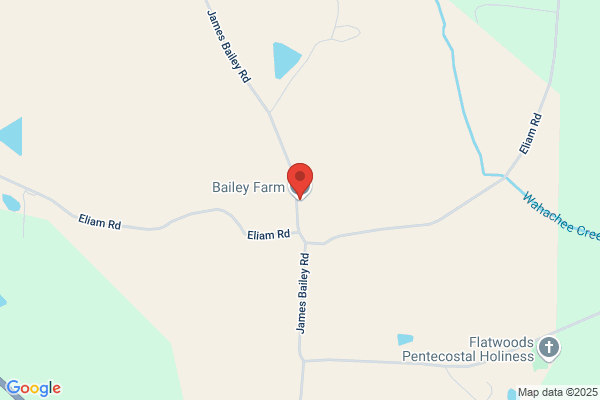 Bailey & Bailey Swine Farm