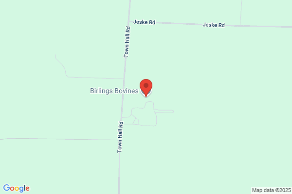 Birling Bovines