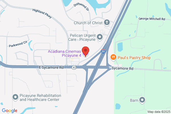 River Ridge Cinema IV Information