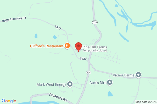 Pine Tree Farms