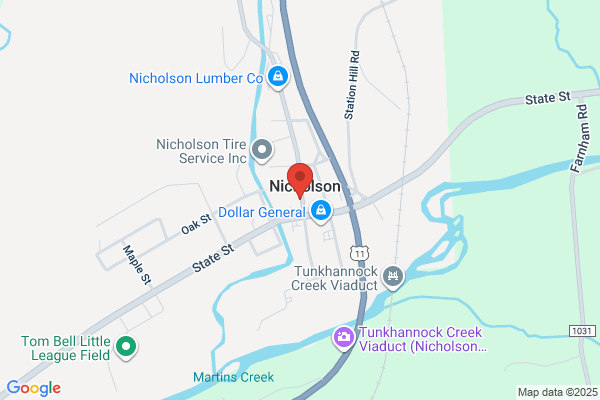 The Nicholson Diner Inc