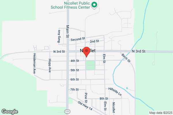Nicollet Food Products Inc