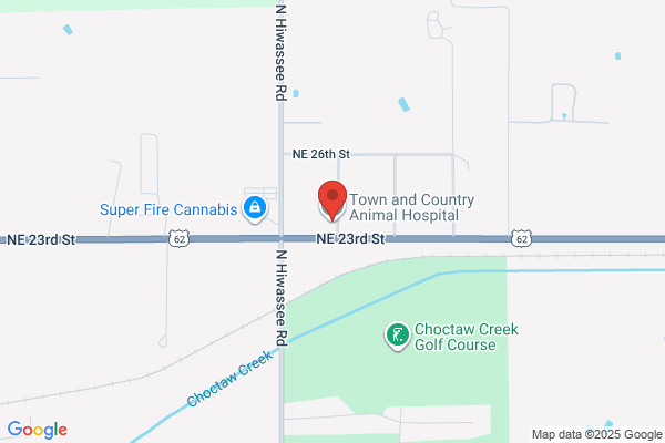 Town and Country Animal Hospital