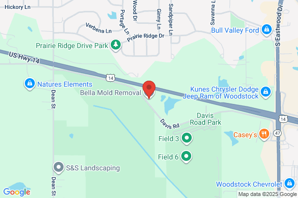 Bella Mold Removal