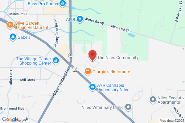 The Niles Community