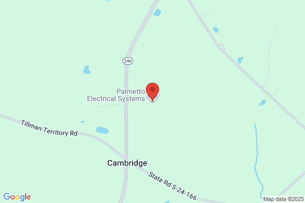 Palmetto Electrical Systems