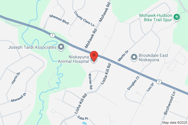Animal Hospital of Niskayuna
