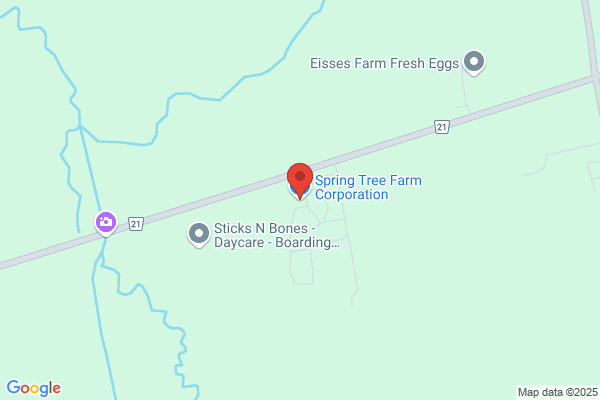 Spring Tree Farms