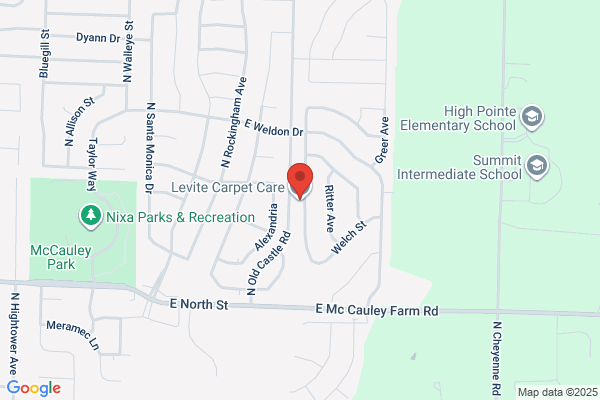 Levite Carpet Care