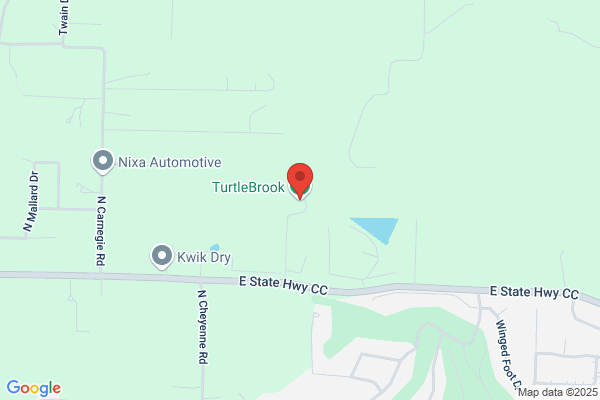 Turtlebrook