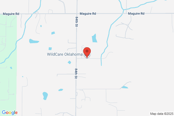 Artesian Wildlife