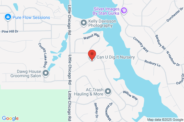 Budde Landscaping