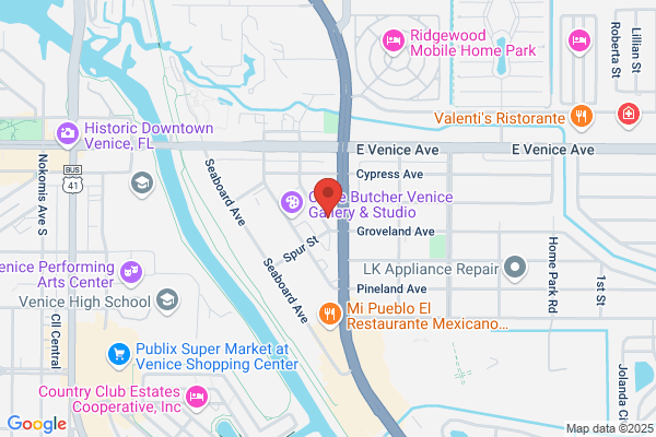 Venice Electric Inc.