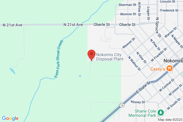 Nokomis City of, Disposal Plant